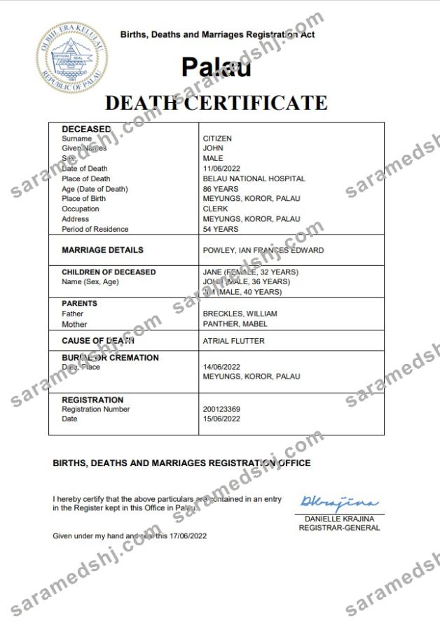 Palau vital record death certificate Word and PDF template